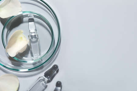 Pharmaceutical ampoules with medication and petals on light background, flat lay. Space for textの写真素材