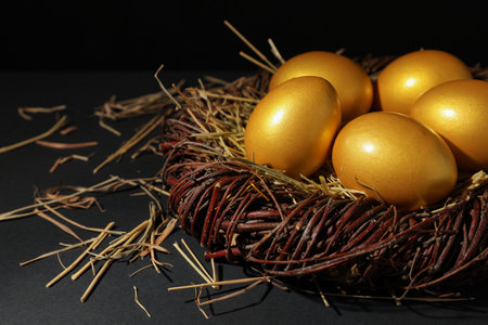 Shiny golden eggs nest on black background. Space for textの写真素材
