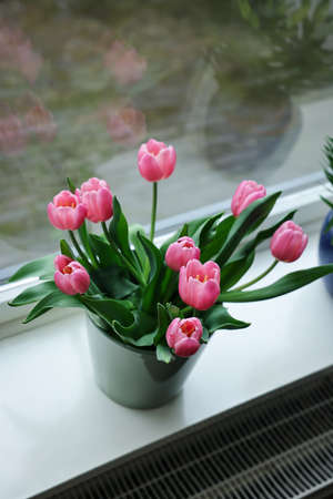 Beautiful bouquet with pink tulips on white window sill indoors, above viewの写真素材