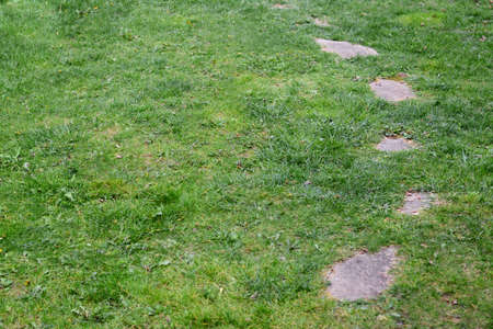 View of stone pathway and green lawn in parkの写真素材