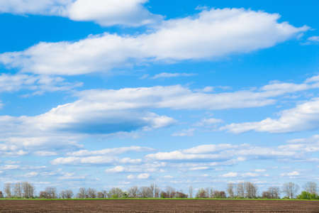 Picturesque view of agricultural field on cloudy dayの写真素材