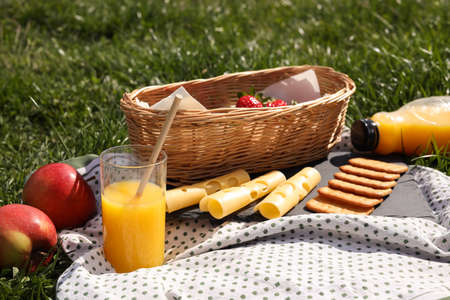 Blanket with juice and snacks for picnic on green grass