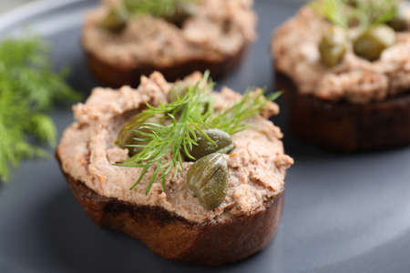 Slices of bread with delicious pate, capers and dill on plate, closeupの写真素材