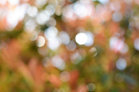 Blurred view of abstract colorful background. bokeh effect