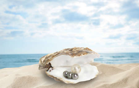 Open oyster shell with pearls on sandy beach near seaの写真素材