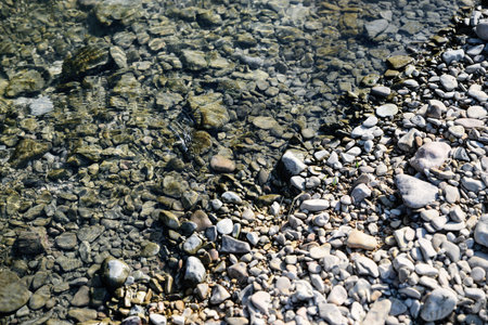 River coast with stones and pebbles on sunny dayの写真素材