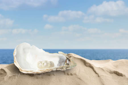 Open oyster shell with white pearls on sandy beach near sea