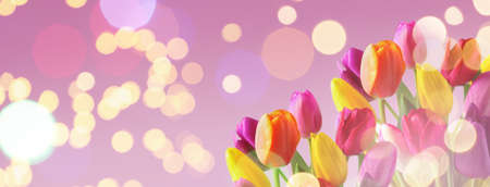 Bouquet of beautiful spring tulips on lilac background, space for text. banner designの写真素材