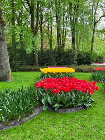 Park with variety of beautiful flowers. spring seasonの写真素材