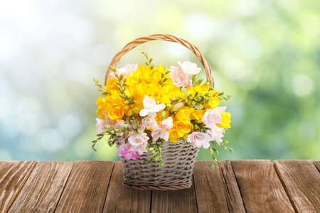 Beautiful freesia flowers in wicker basket on wooden table outdoors. bokeh effectの写真素材