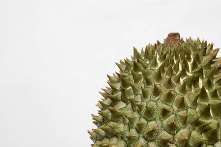 Fresh ripe durian on white background, closeup. Space for text
