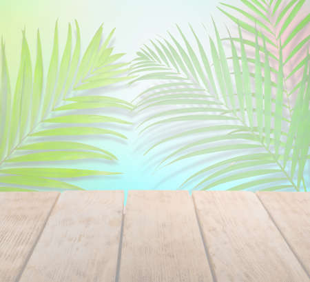 Palm branches and wooden table against color background, fade effect. summer partyの写真素材