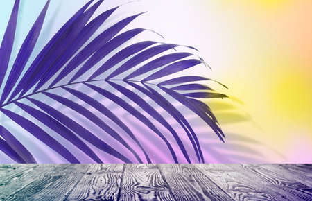 Palm branch and wooden table against light background, color tone effect. summer party