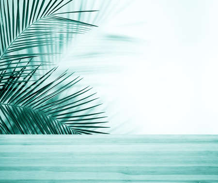 Palm branches and light blue wooden table near white wall, space for text. summer party