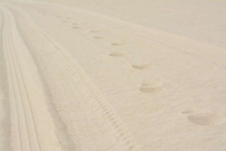 Dry beach sand with track of car as background, closeupの写真素材