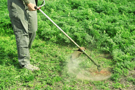 Worker cutting grass with electric lawn trimmer outdoors, closeup
