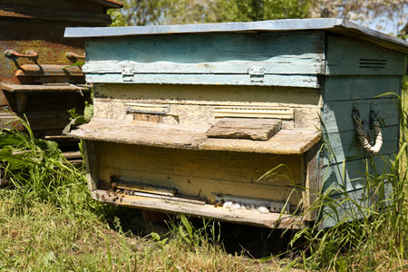 Old bee hive at apiary outdoors on sunny dayの写真素材