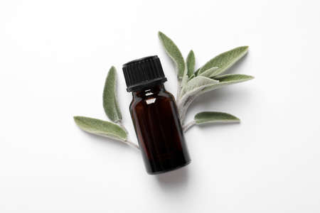 Bottle of essential sage oil and leaves on white background, top viewの写真素材