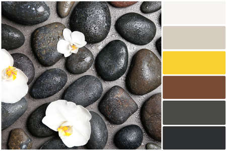 Color palette and spa stones with beautiful flowers on gray background, flat lay. Collage