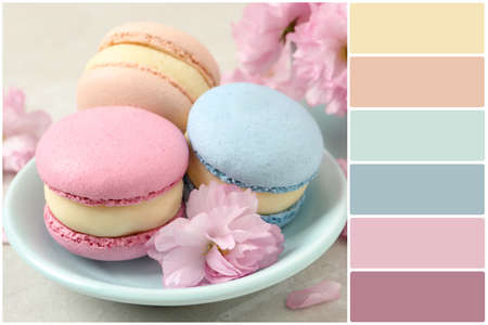 Color palette and delicious macarons and pink flowers on light gray table. Collageの写真素材