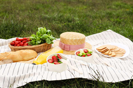 Picnic blanket with juice and food on green grassの写真素材