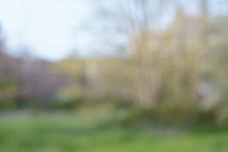 Blurred view of green lawn in park. bokeh effectの写真素材