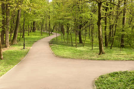Beautiful green park on sunny spring dayの写真素材