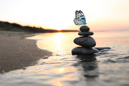 Beautiful butterfly and stones on sandy beach near the sea at sunset. Zen conceptの写真素材