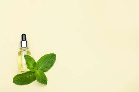 Bottle of essential oil and mint on beige background, flat lay. Space for textの写真素材