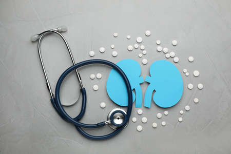 Paper cutout of kidneys, stethoscope and pills on gray table, flat layの写真素材