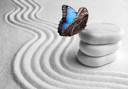 Beautiful butterfly and stones on white sand with pattern. Zen conceptの写真素材