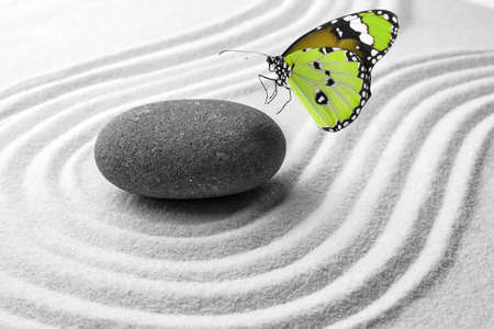 Beautiful butterfly and stone on white sand with pattern. Zen conceptの写真素材