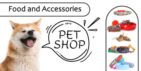 Advertising banner design for pet shop. Cute dog and different accessories on white backgroundの写真素材