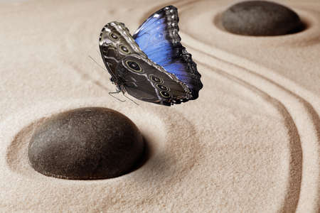 Beautiful butterfly and stones on sand with pattern. Zen conceptの写真素材