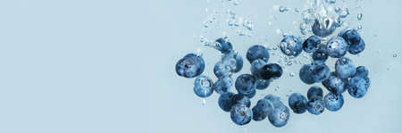 Fresh ripe blueberries falling in water on gray background, space for text. banner designの写真素材