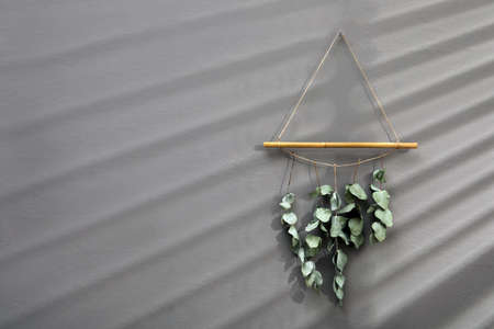 Beautiful decor element made of dry bamboo stick and eucalyptus branches hanging on gray wall, space...