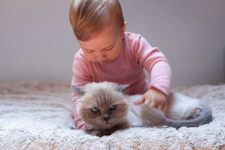 Adorable baby with cute cat on bed indoorsの写真素材