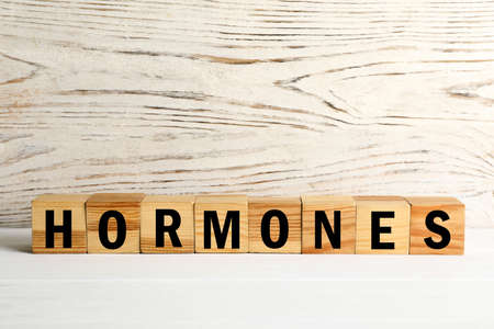 Word Hormones made of wooden cubes with letters on white table, space for textの写真素材
