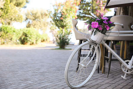 Retro bicycle with flowers in basket on outdoor terraceの写真素材