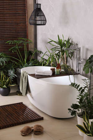 Modern white tub and beautiful green houseplants in the bathroom. interior designの写真素材