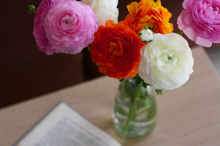 Bouquet of beautiful ranunculus flowers in vase on table indoors, closeup. Space for textの写真素材