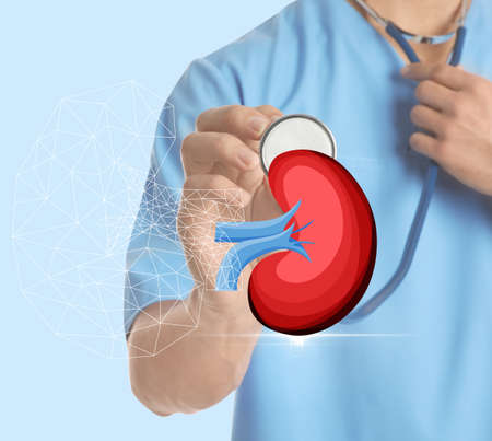 Close up view of doctor with stethoscope and illustration of kidney on light background