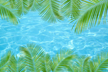 View of beautiful green tropical leaves and outdoor swimming pool as backgroundの写真素材