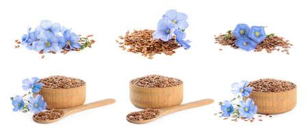 Set with flax seeds and flowers on white background. banner designの写真素材