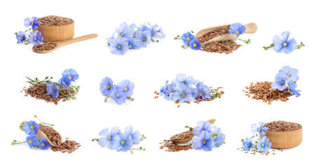 Set with flax seeds and flowers on white backgroundの写真素材