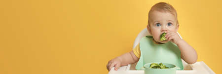 Cute little baby wearing bib while eating on yellow background, space for text. banner designの写真素材