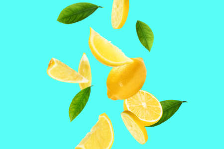 Fresh ripe lemons and green leaves on cyan backgroundの写真素材