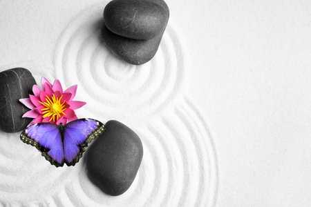Beautiful butterfly, flower and stones on white sand with pattern, flat lay. Zen conceptの写真素材