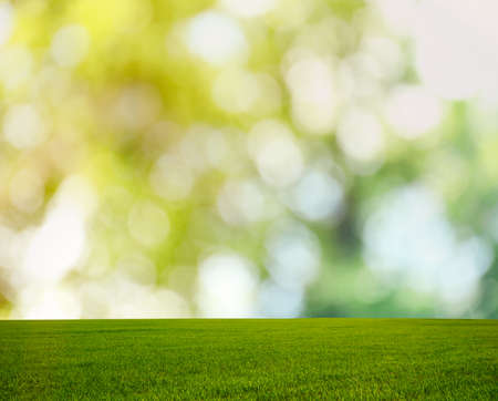 Beautiful lawn with green grass on a sunny day. bokeh effect