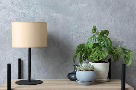 Beautiful house plants and lamp on shelving unit indoors. home design ideasの写真素材